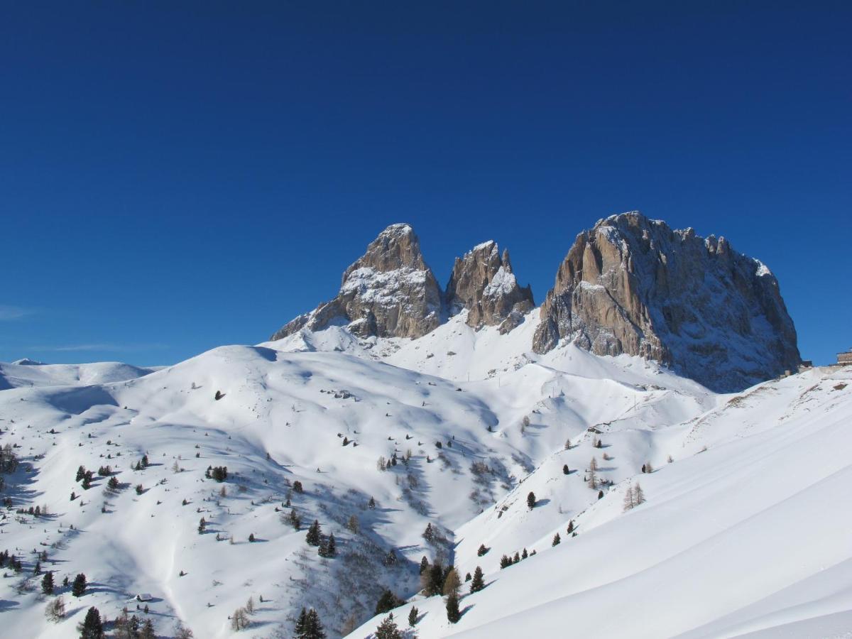 Hotel Soreghes Gran Chalet Campitello di Fassa Bagian luar foto